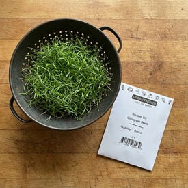 Bouquet Dill, Microgreen Seeds
